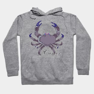 Starlight Cancer Hoodie